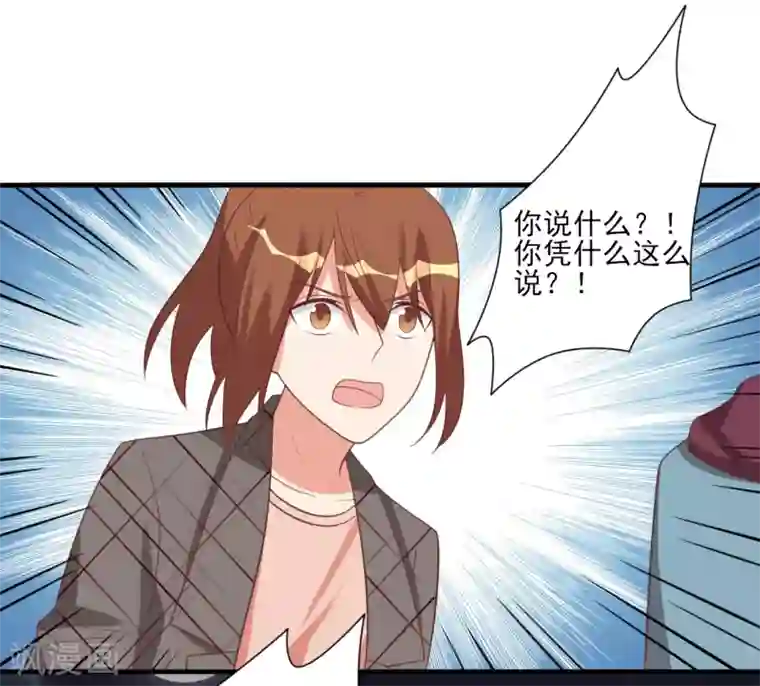 刀与蔷薇木第48话