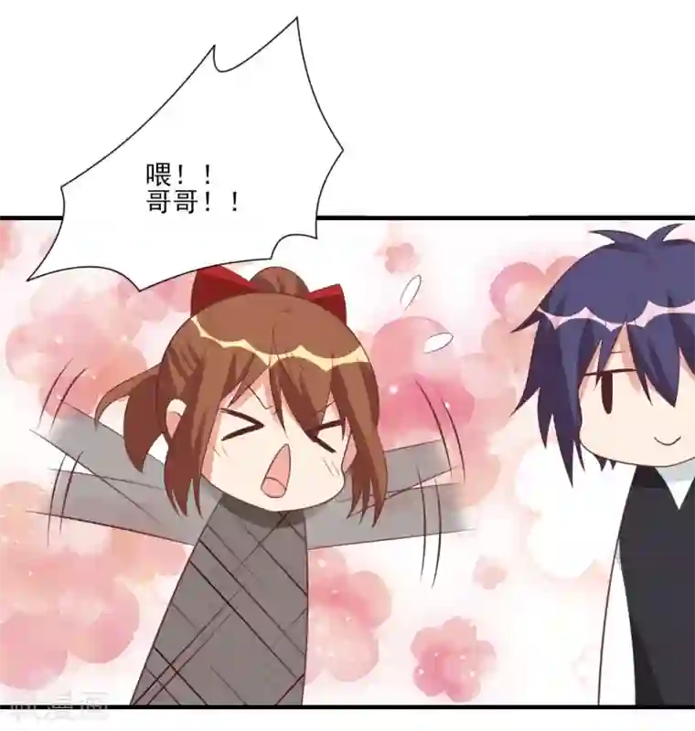 刀与蔷薇木第48话