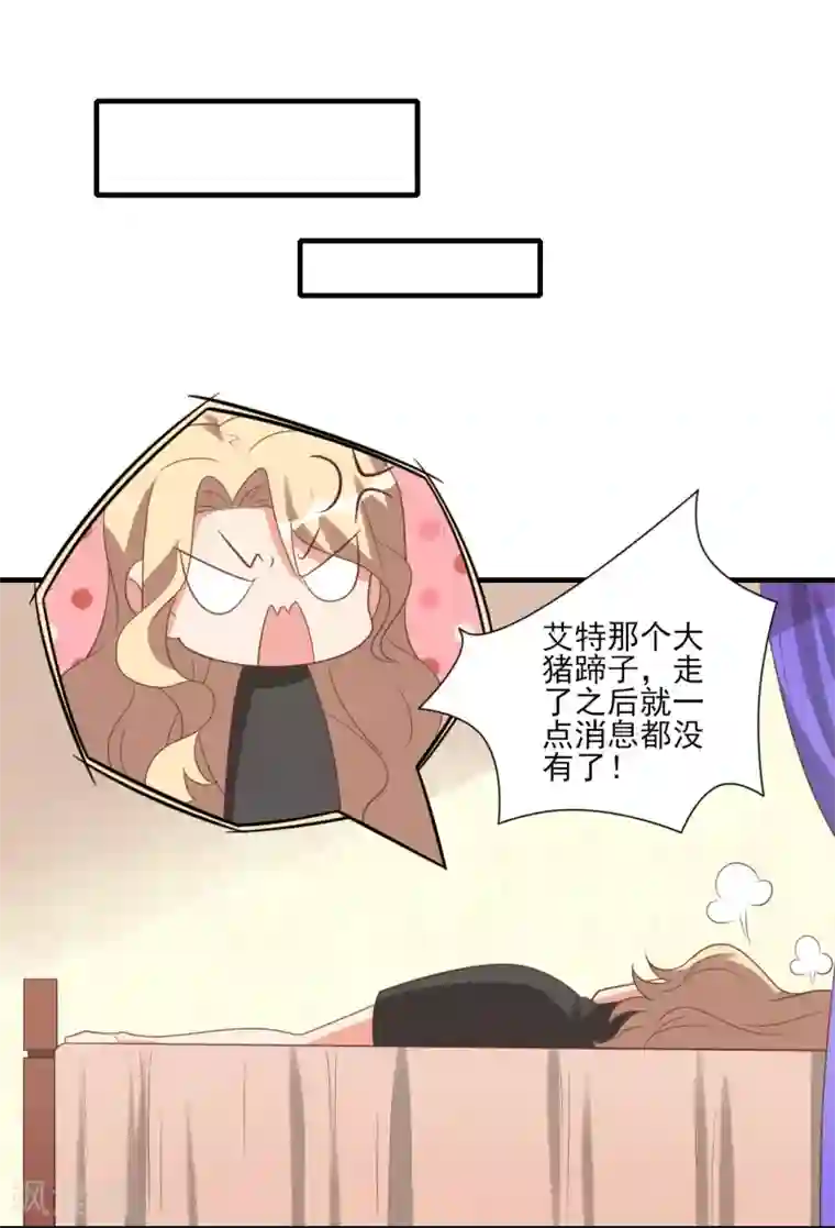 刀与蔷薇木第48话