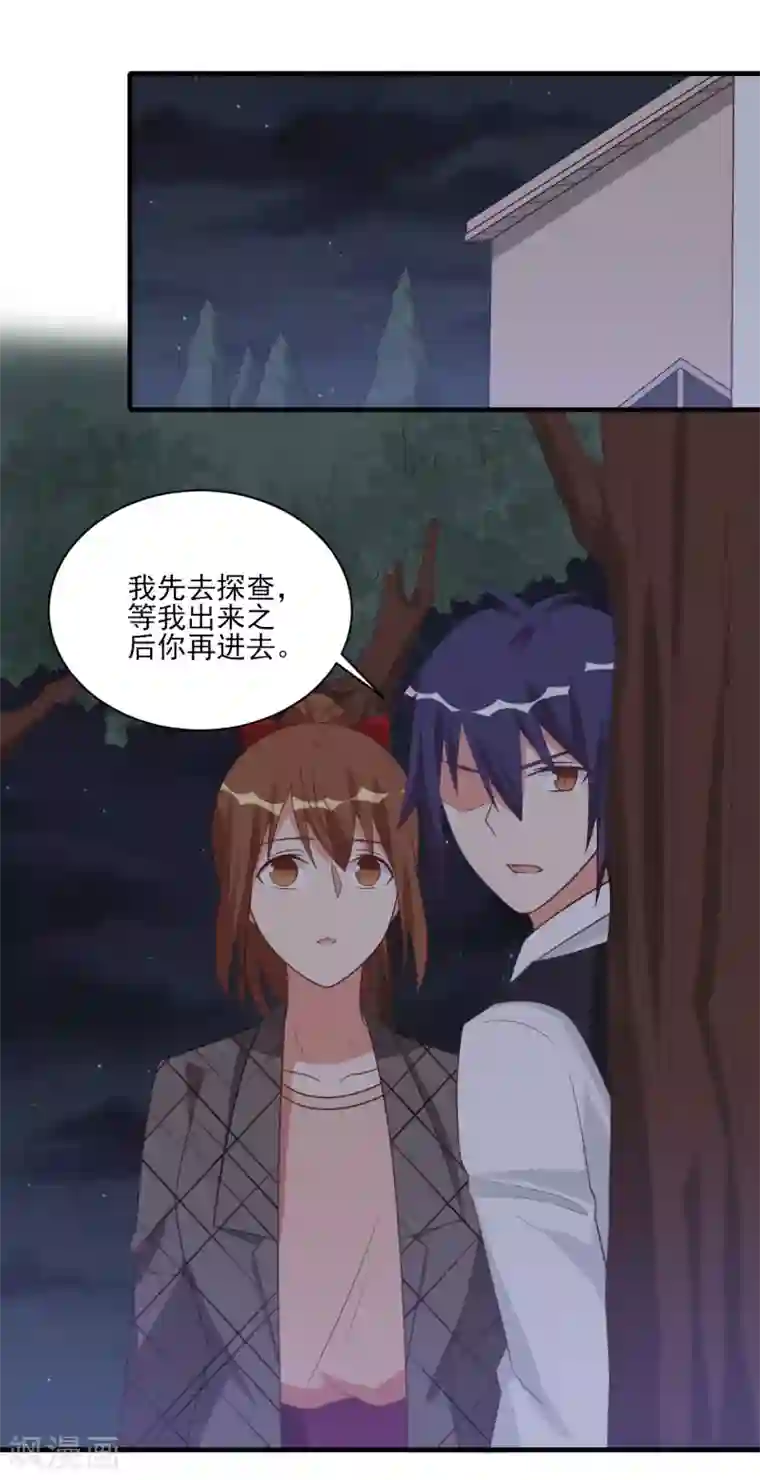 刀与蔷薇木第49话