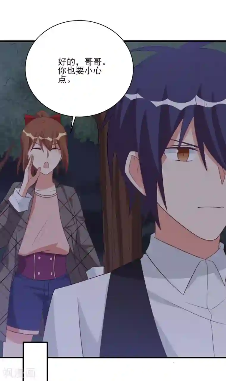 刀与蔷薇木第49话