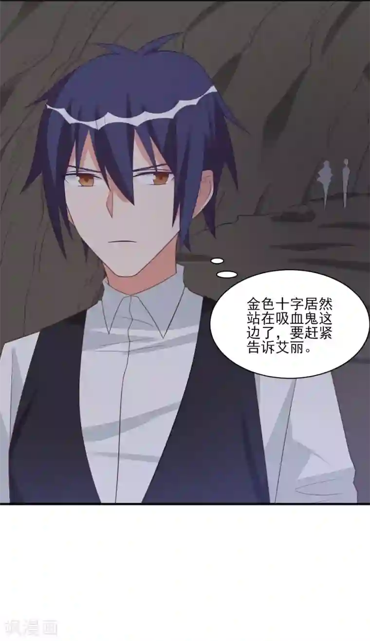 刀与蔷薇木第49话