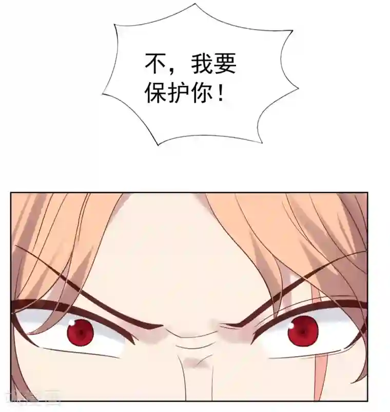 刀与蔷薇木第51话