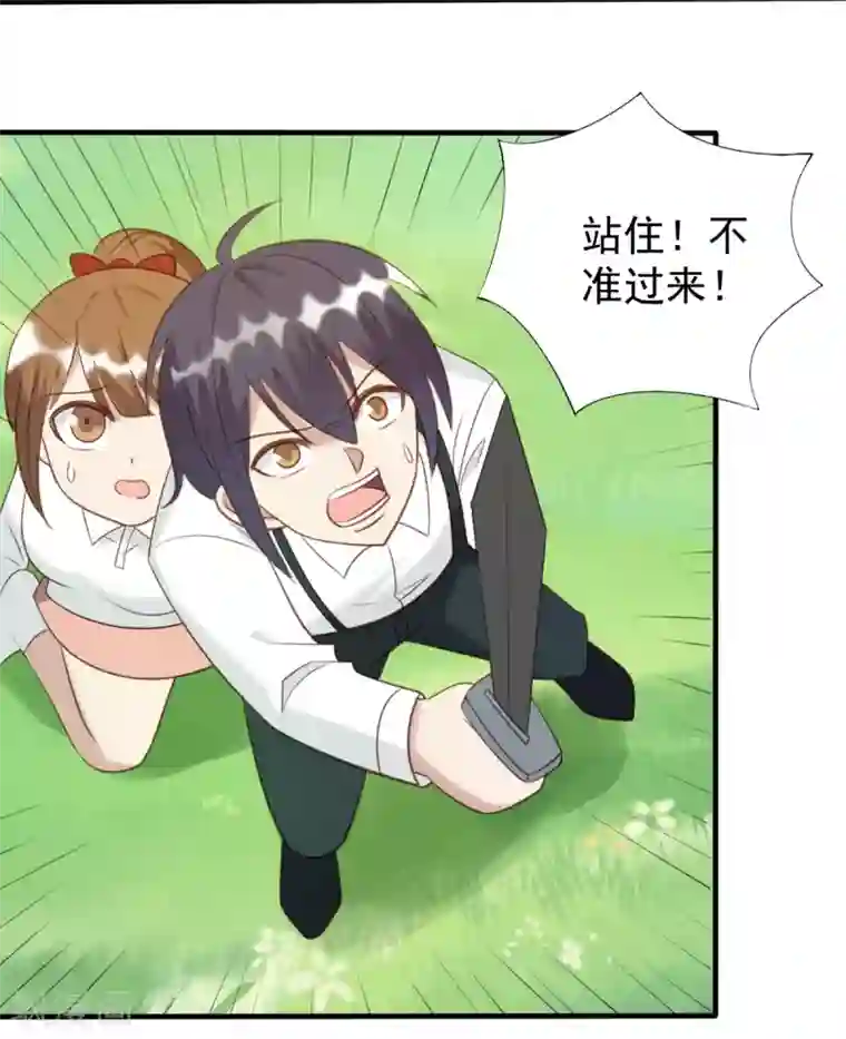 刀与蔷薇木第52话