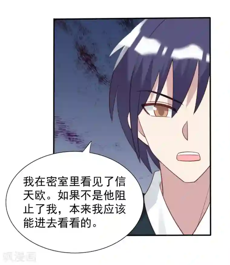 刀与蔷薇木第53话