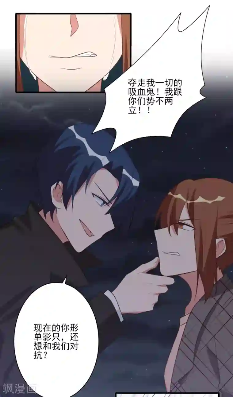 刀与蔷薇木第54话