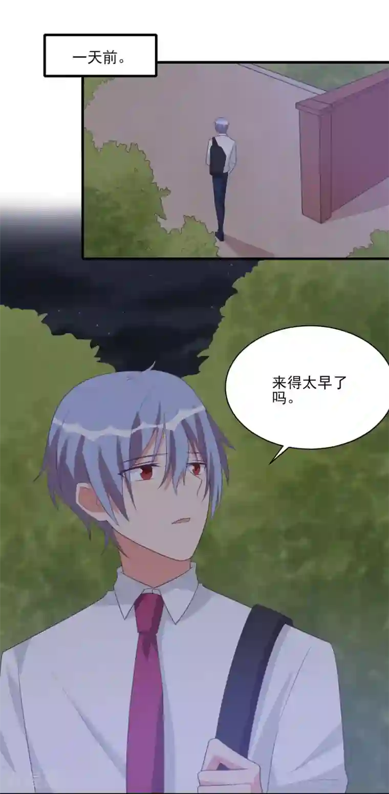 刀与蔷薇木第55话