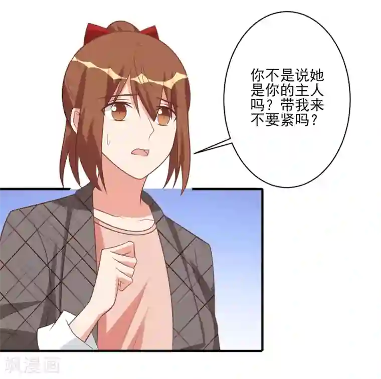 刀与蔷薇木第56话