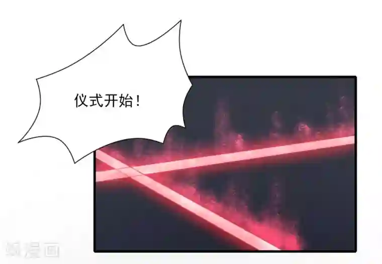 刀与蔷薇木第56话