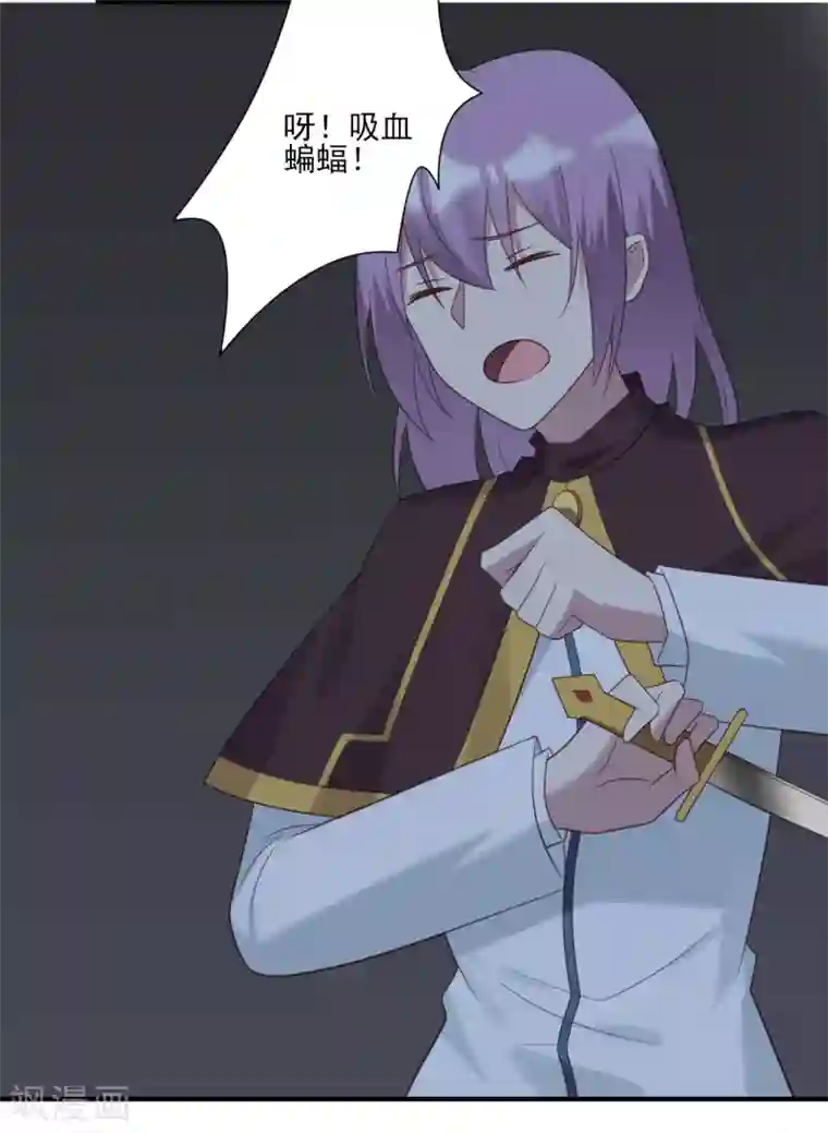 刀与蔷薇木第61话