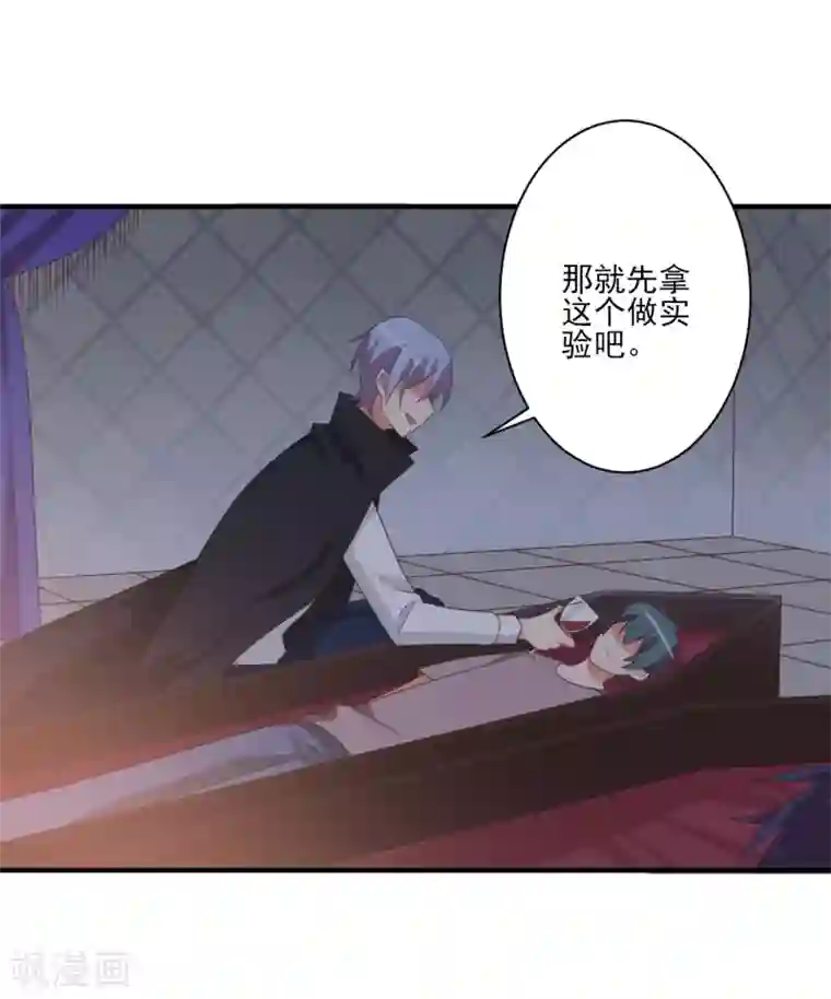 刀与蔷薇木第65话