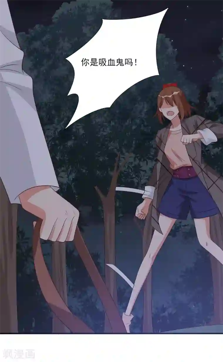 刀与蔷薇木第66话