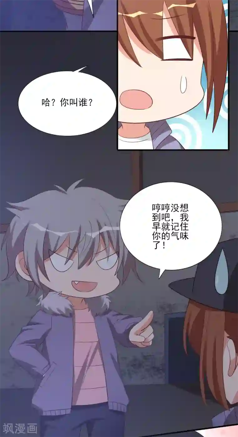 刀与蔷薇木第69话