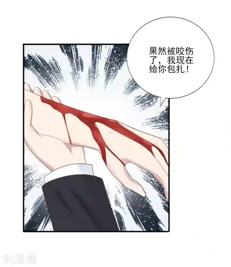 刀与蔷薇木第72话