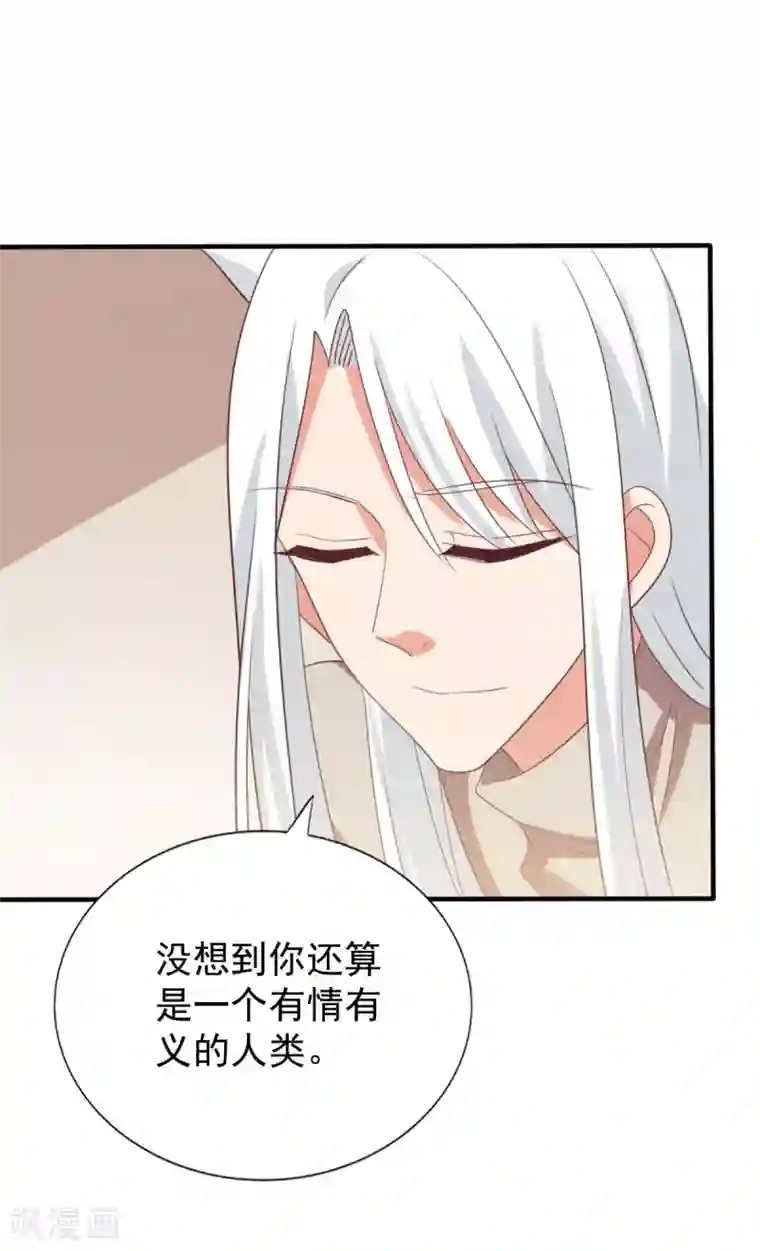 刀与蔷薇木第73话