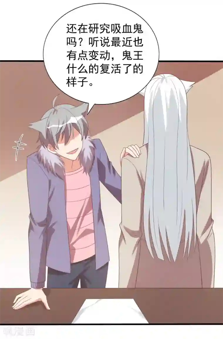 刀与蔷薇木第73话