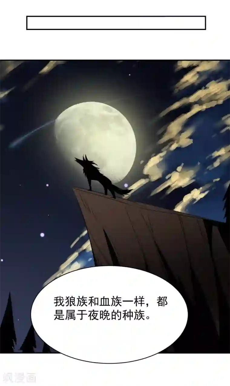 刀与蔷薇木第74话