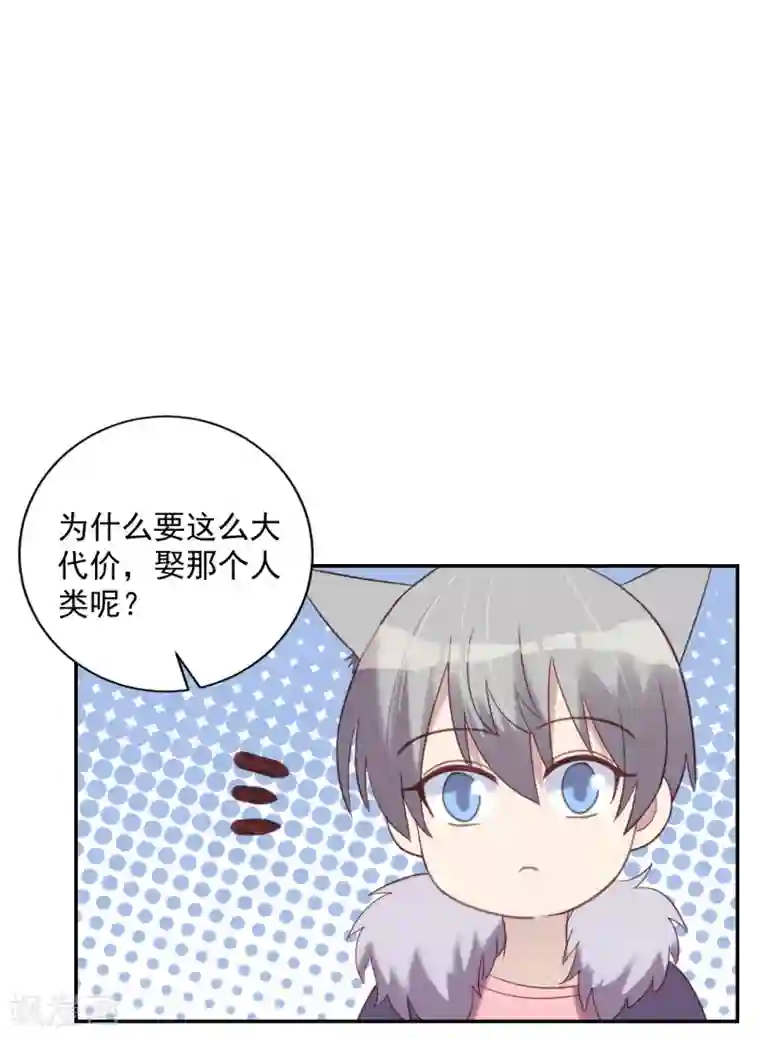 刀与蔷薇木第77话