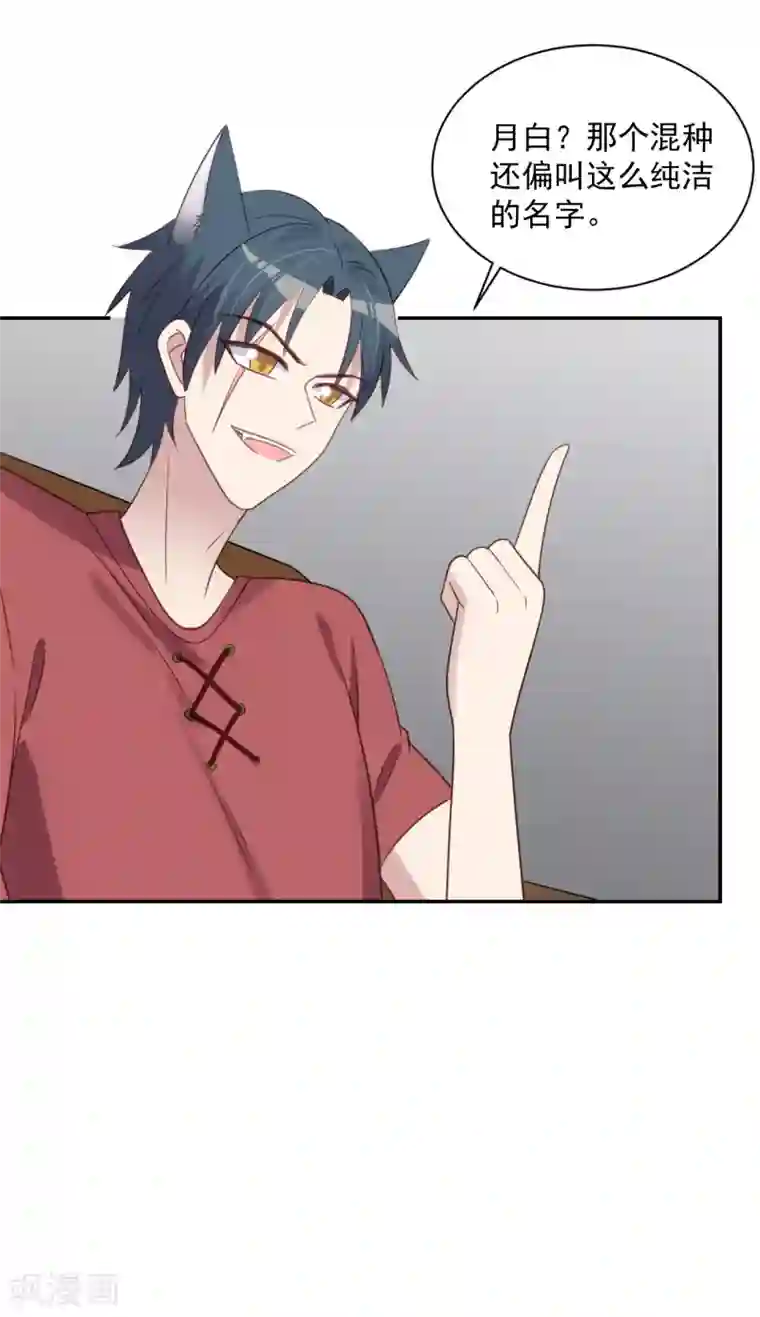 刀与蔷薇木第77话