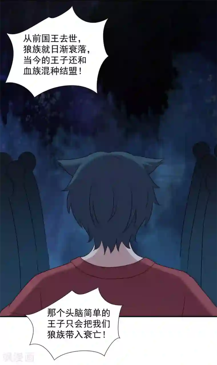 刀与蔷薇木第78话