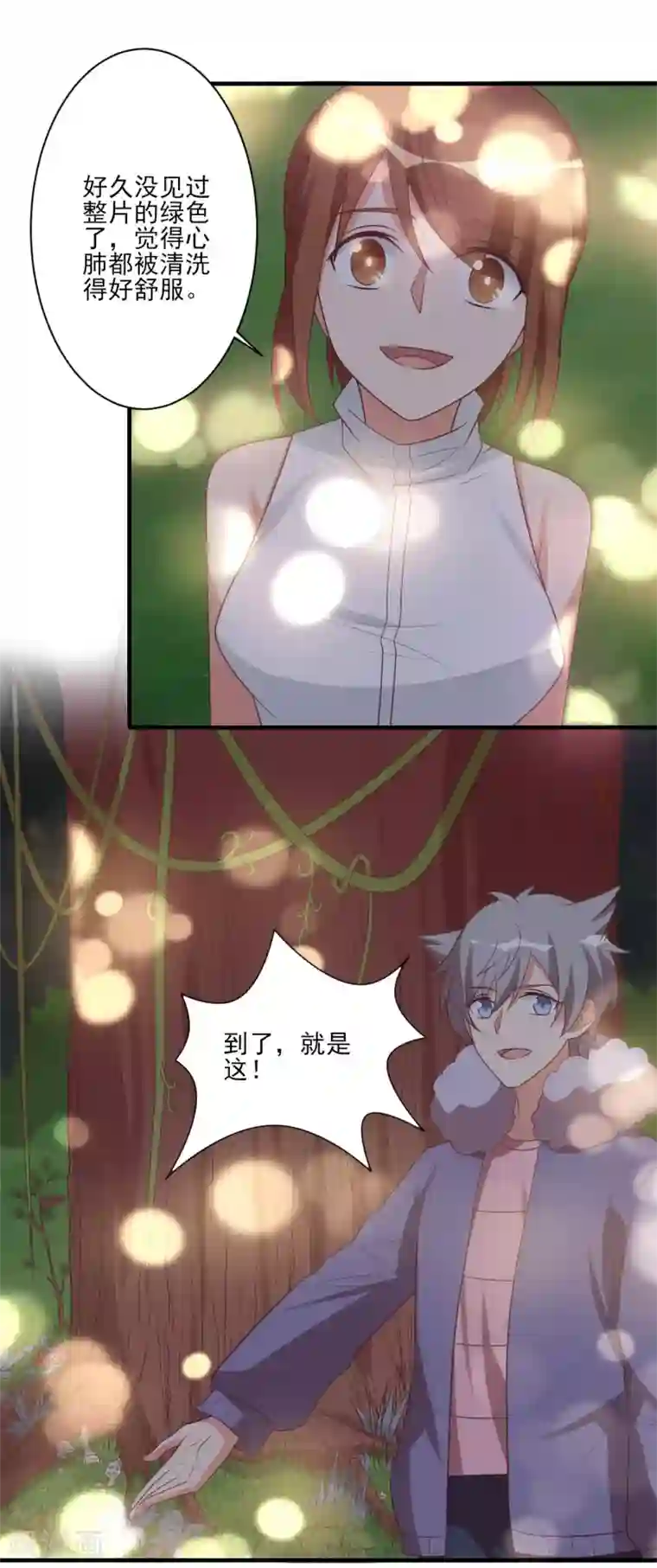 刀与蔷薇木第80话