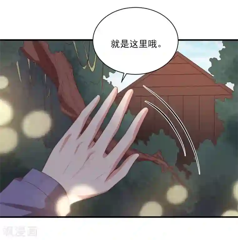 刀与蔷薇木第80话