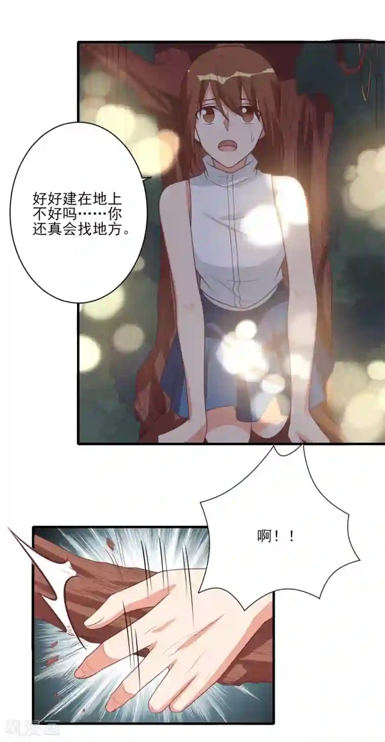 刀与蔷薇木第80话