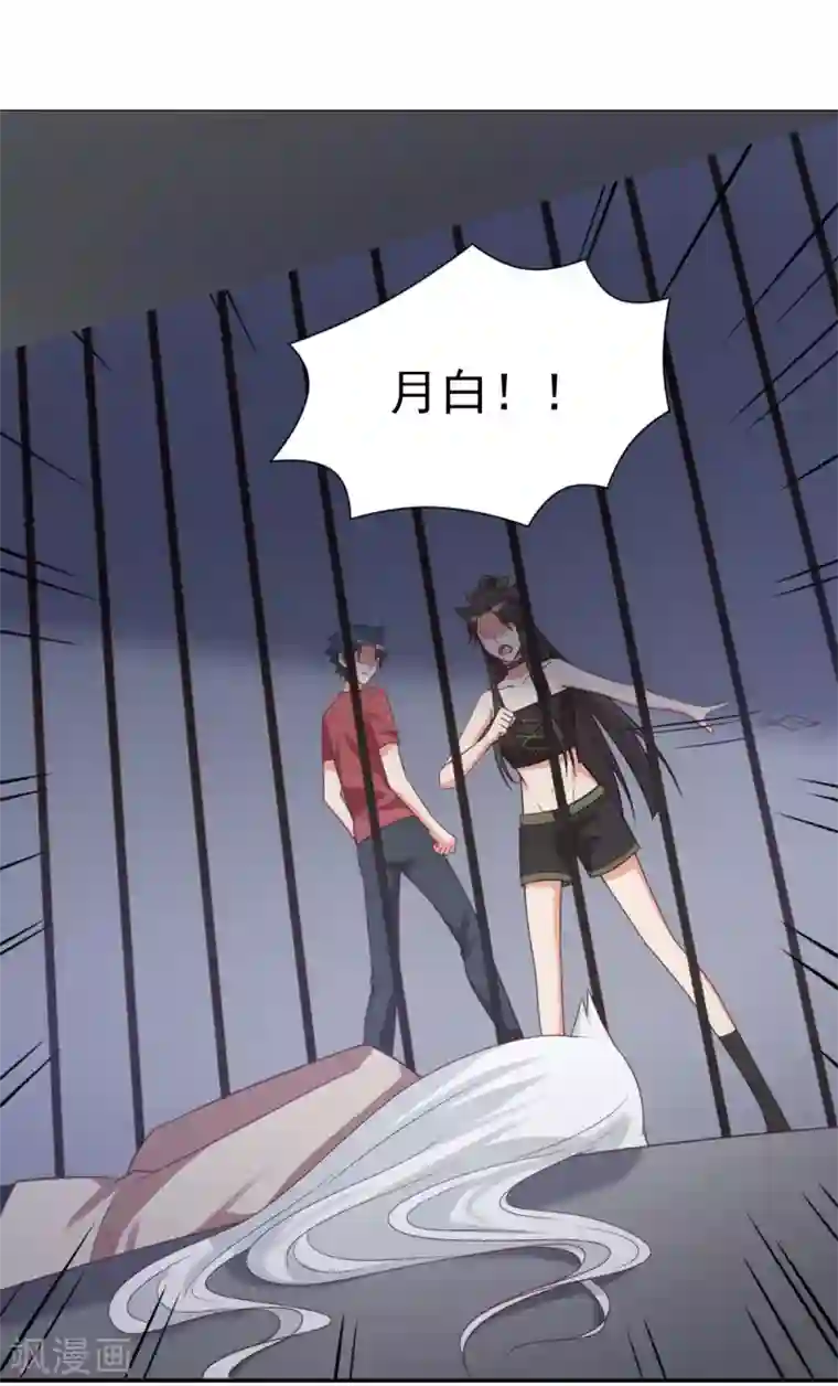 刀与蔷薇木第85话