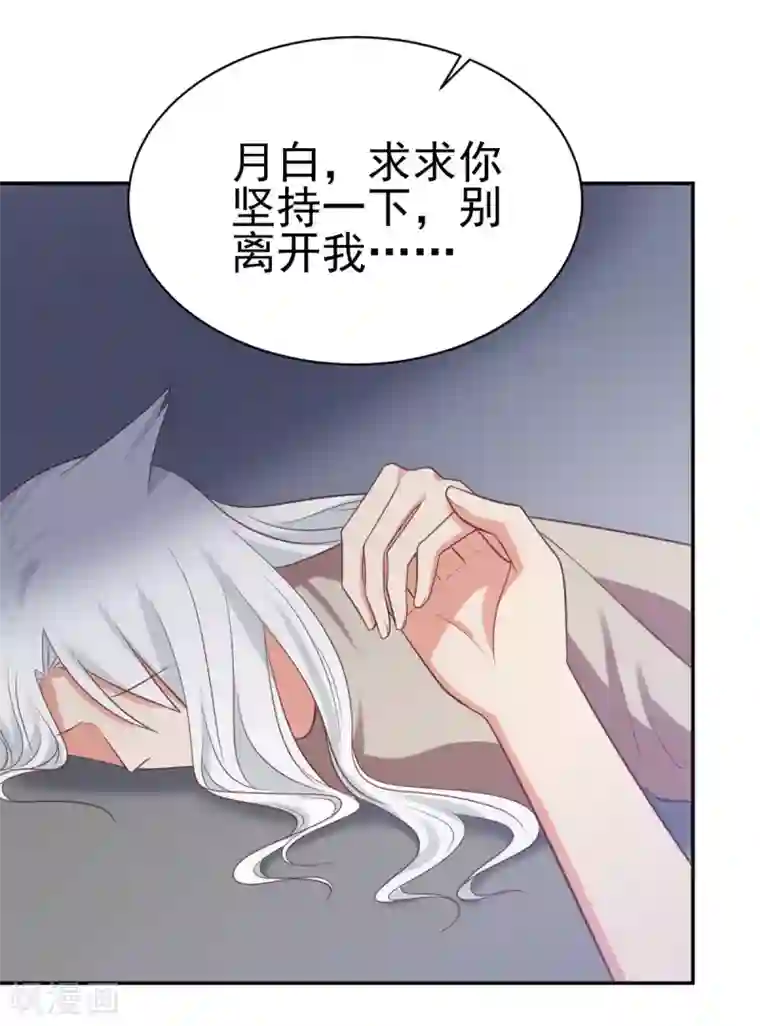 刀与蔷薇木第85话