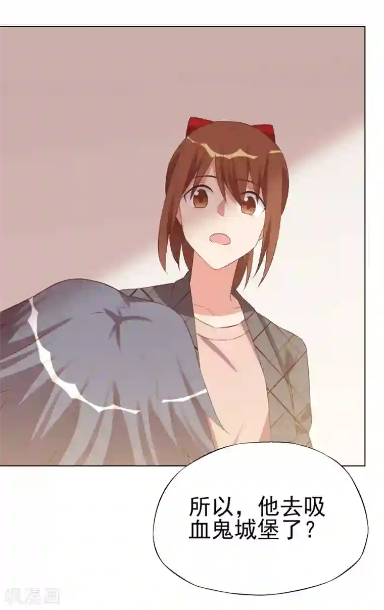 刀与蔷薇木第89话