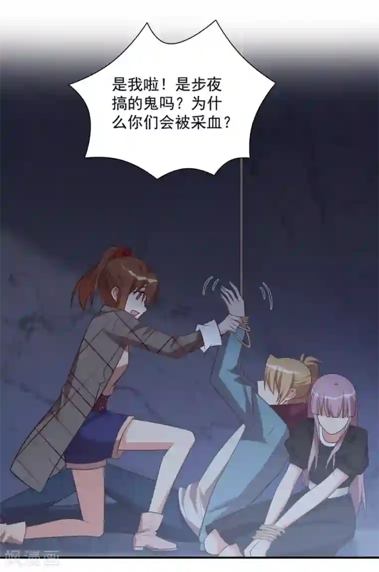 刀与蔷薇木第91话