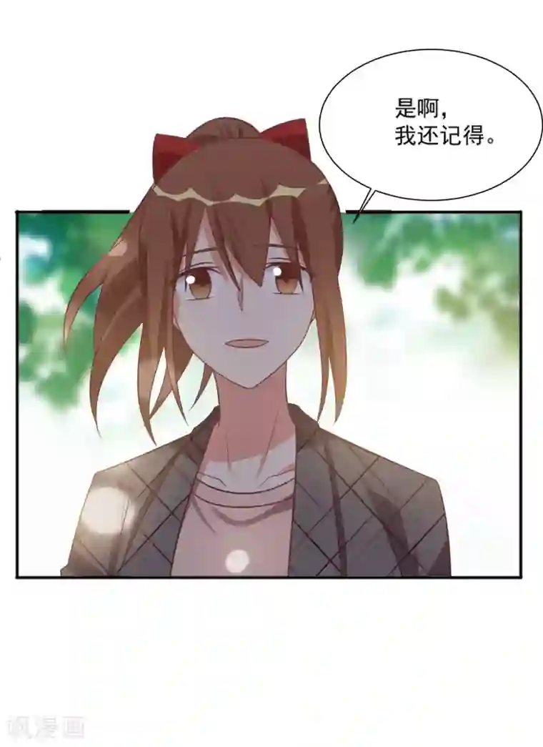 刀与蔷薇木第92话