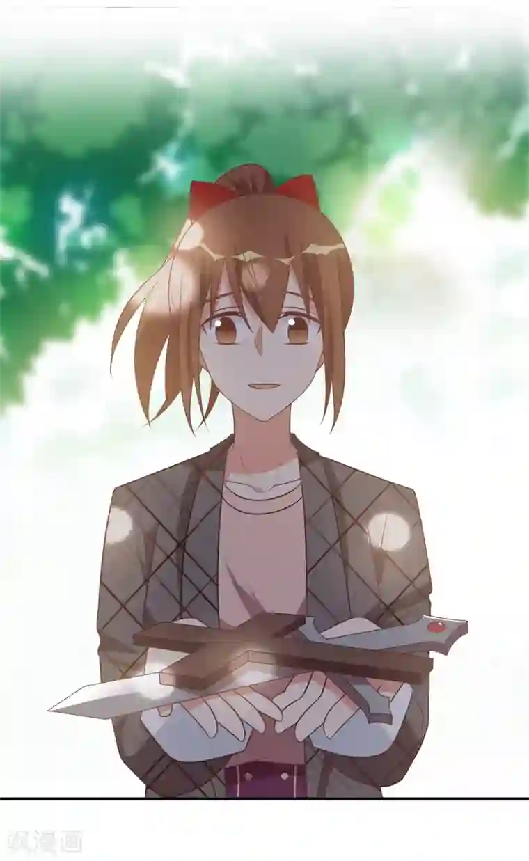 刀与蔷薇木第92话