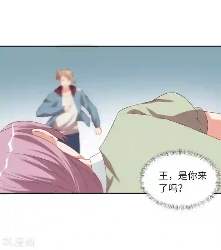 刀与蔷薇木第95话