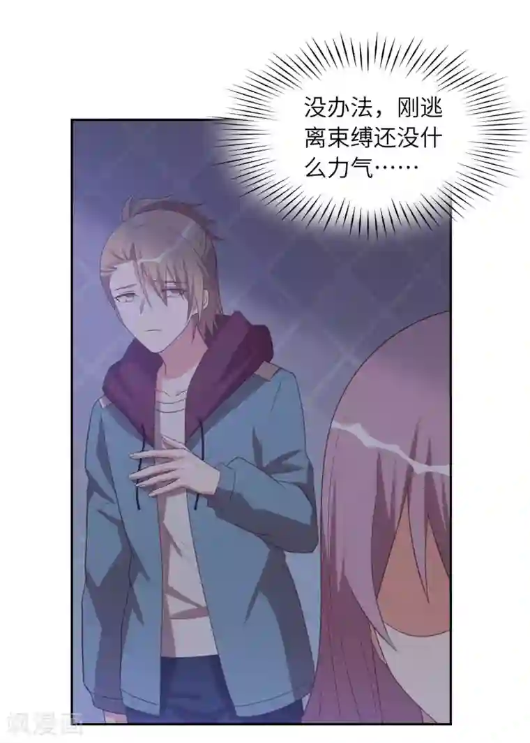 刀与蔷薇木第95话