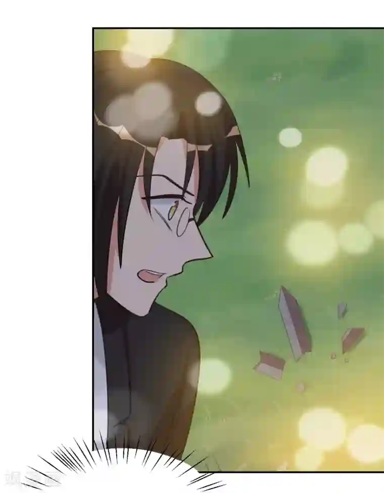 刀与蔷薇木第97话