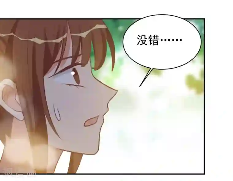 刀与蔷薇木第97话