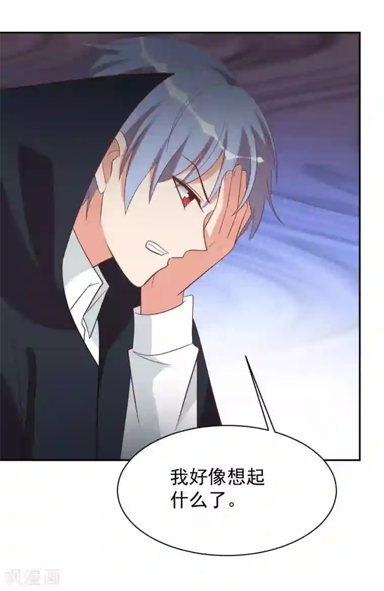 刀与蔷薇木第98话