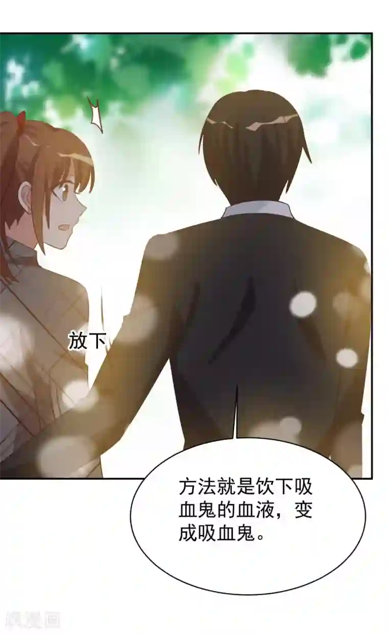 刀与蔷薇木第98话