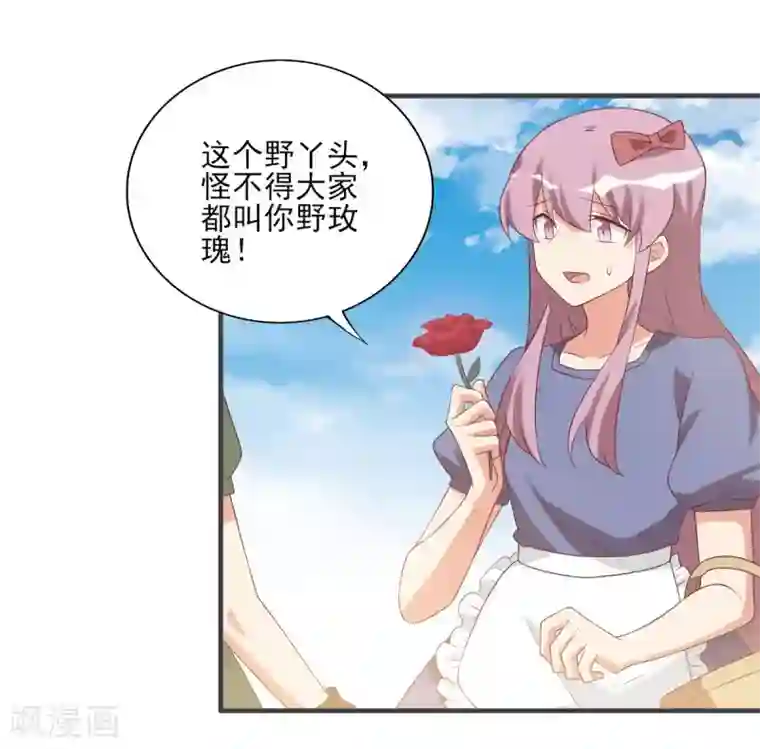 刀与蔷薇木前世篇1