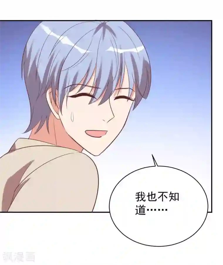 刀与蔷薇木前世篇3