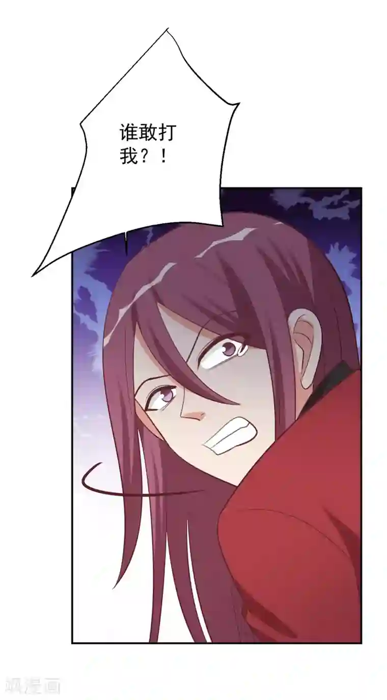 刀与蔷薇木前世篇4