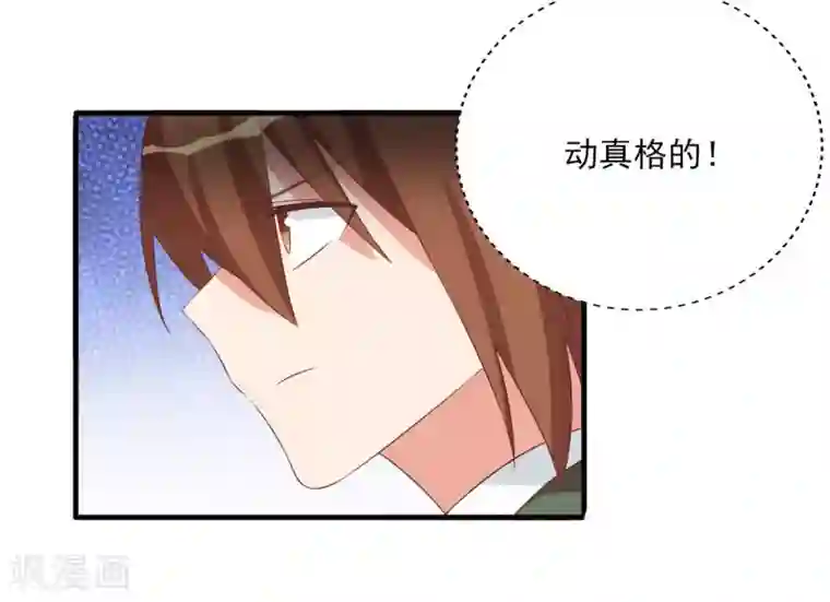 刀与蔷薇木前世篇5