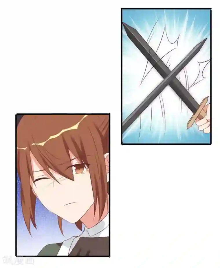 刀与蔷薇木前世篇5