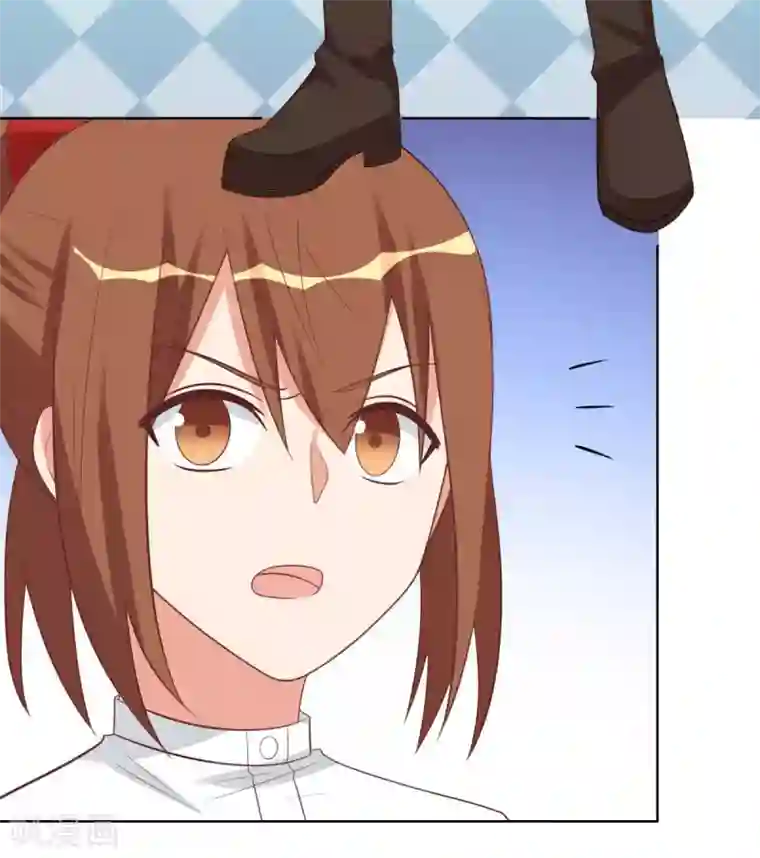 刀与蔷薇木前世篇8