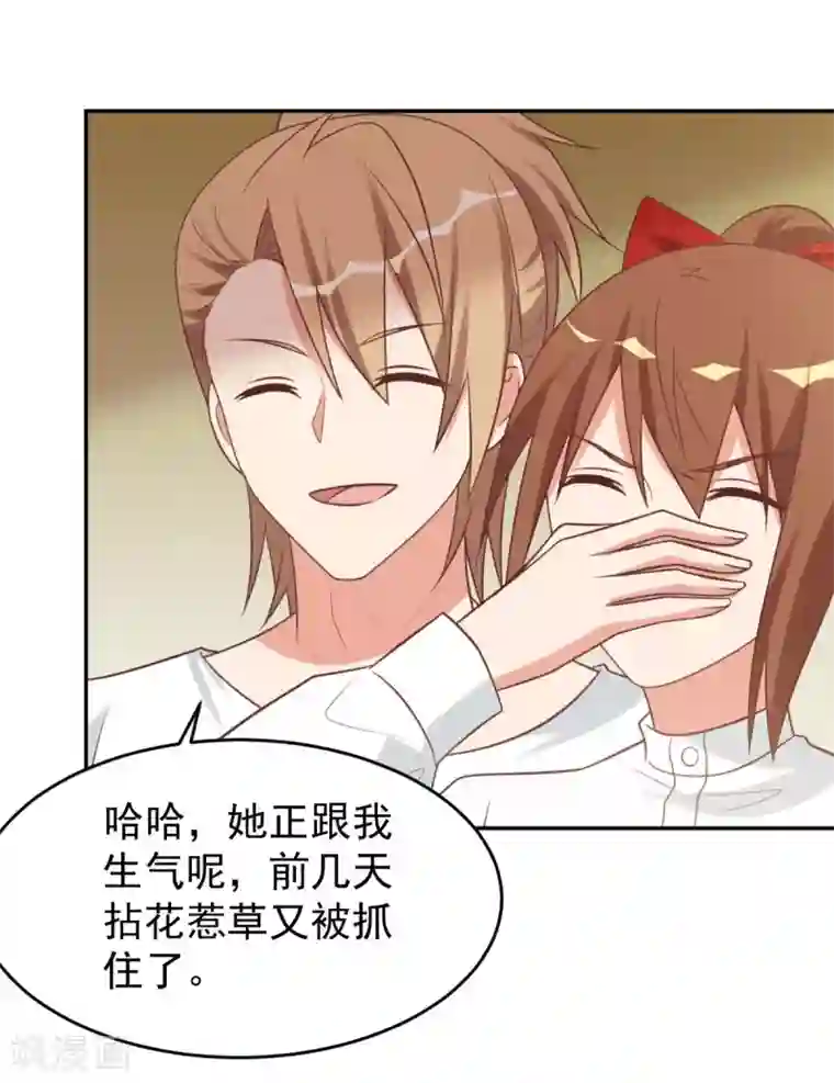 刀与蔷薇木前世篇9