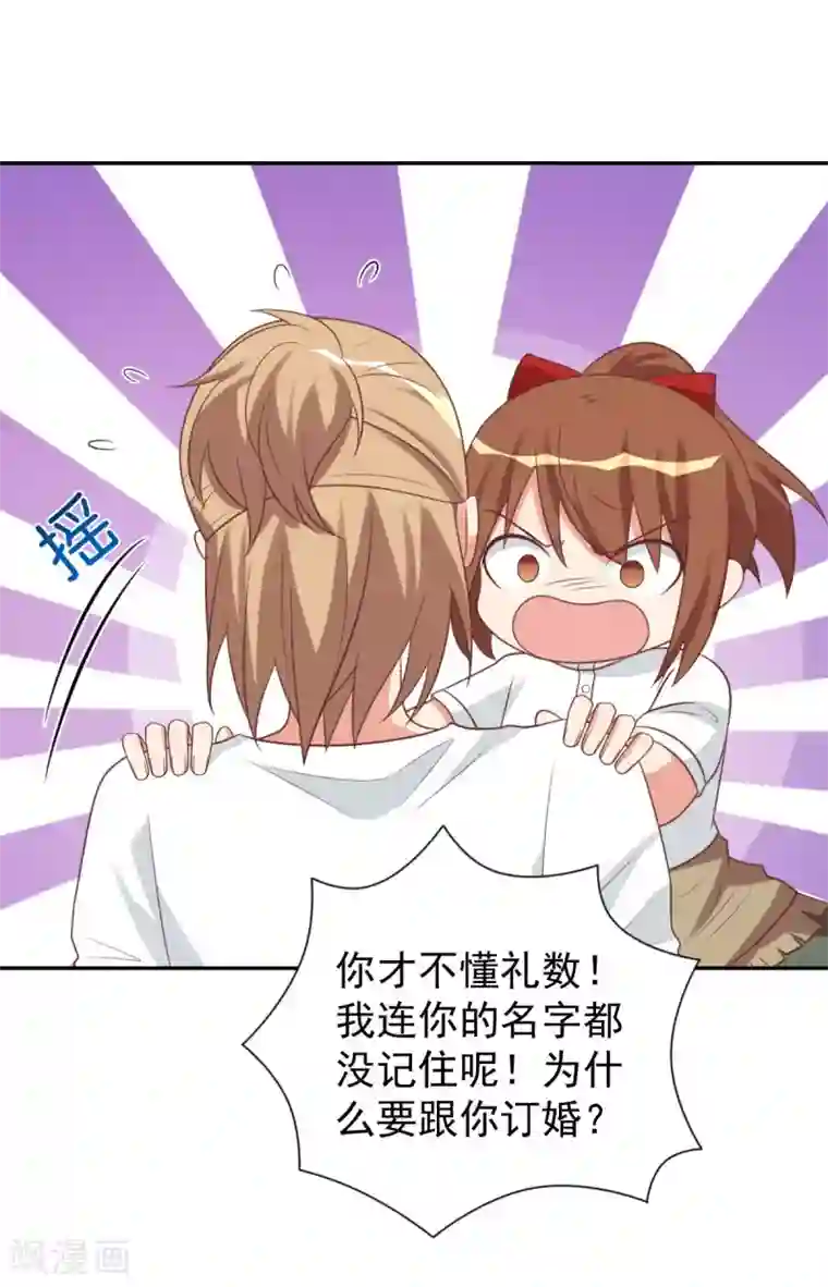 刀与蔷薇木前世篇11