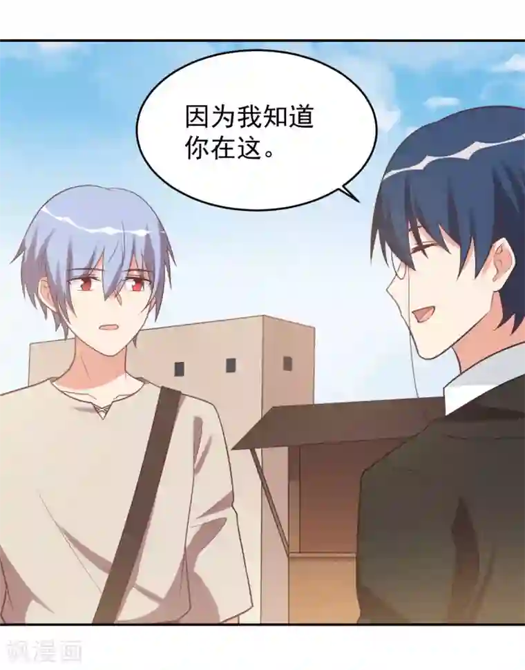 刀与蔷薇木前世篇11