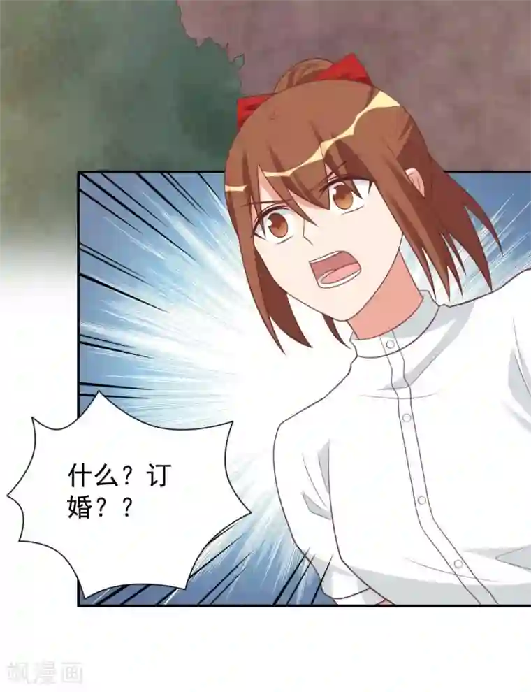 刀与蔷薇木前世篇11