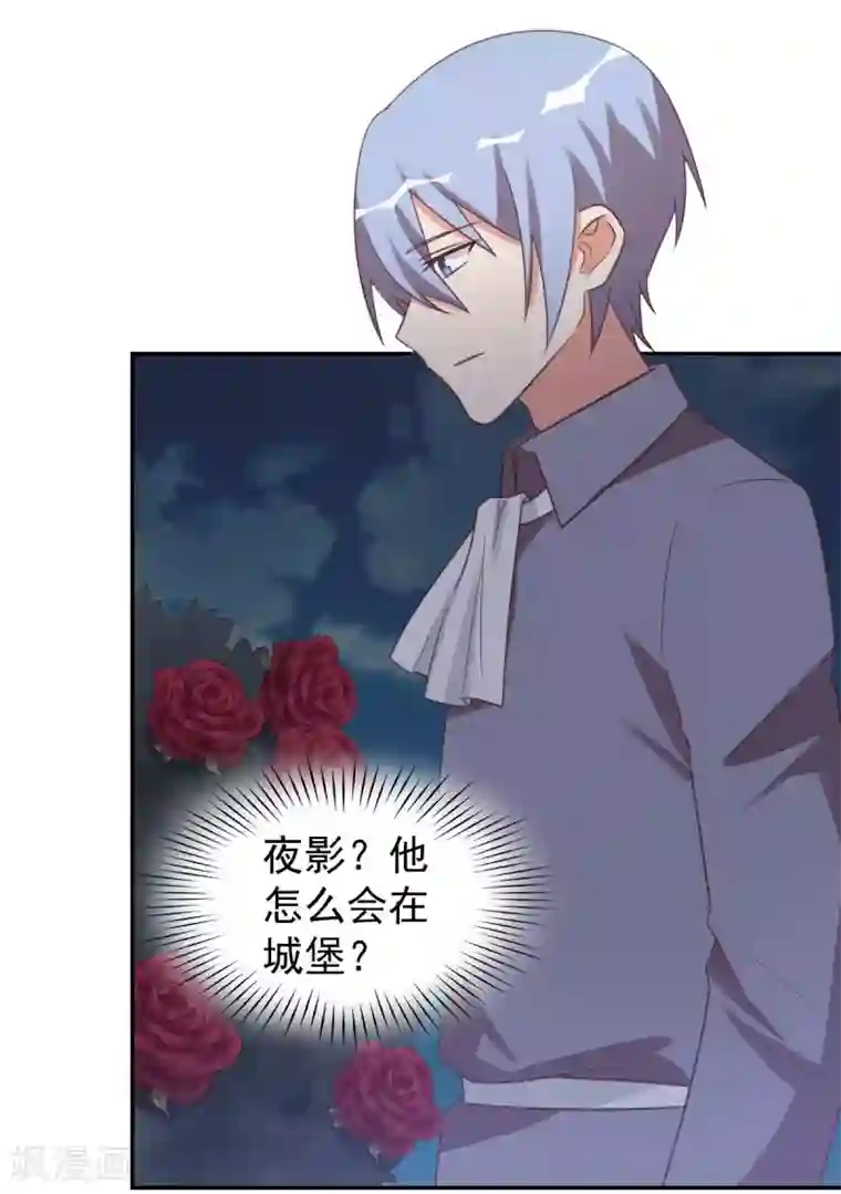 刀与蔷薇木前世篇12